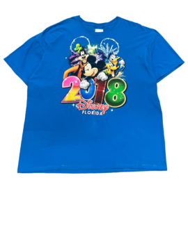 Koszulka Vintage Disney Floryda