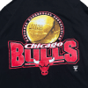 Koszulka Vintage Chicago Bulls Nba